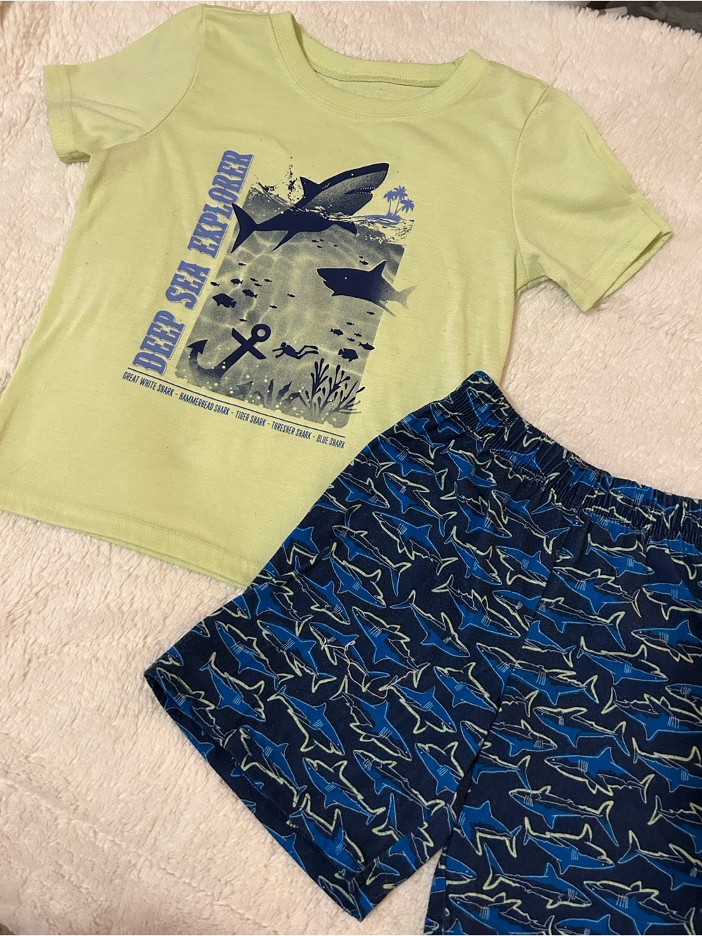 Boys size 6 Shark T-Shirt and Shorts set